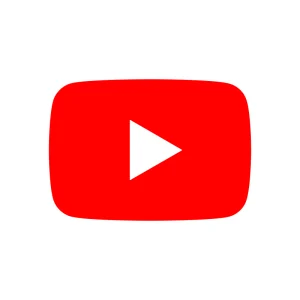 100 TikTok Likes